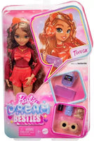 Barbie Dream Teens - Teresa HYC23