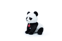 Puppy Panda M