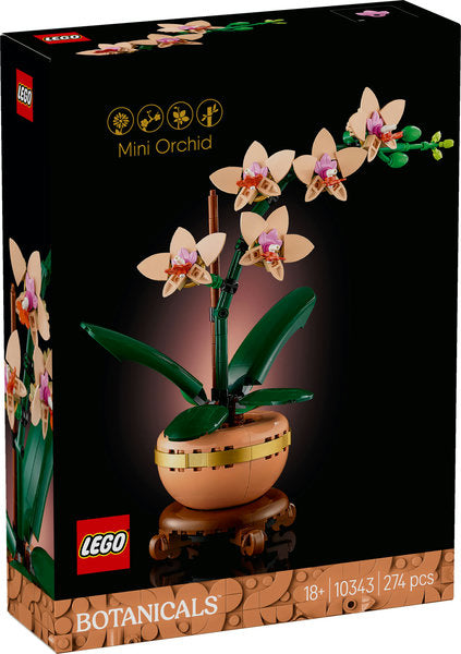 10343 Mini-orchidea