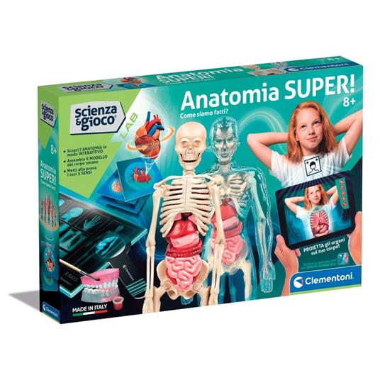 Anatomia Super