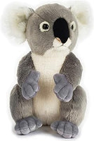 Koala peluche 25 cm National Geographic