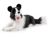 Border Collie Scott