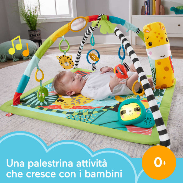 3-in-1 Palestrina Rainforest HJW08