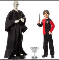 Harry Potter e Lord Voldemort